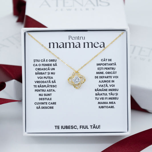 Colier din argint placat cu aur Amore pentru mamă II